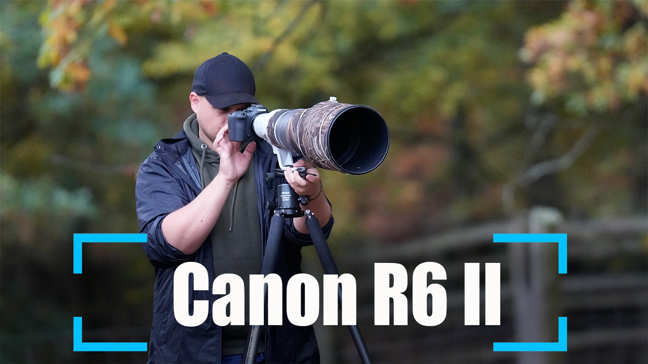 Test Canon ROS R6 II Kamera