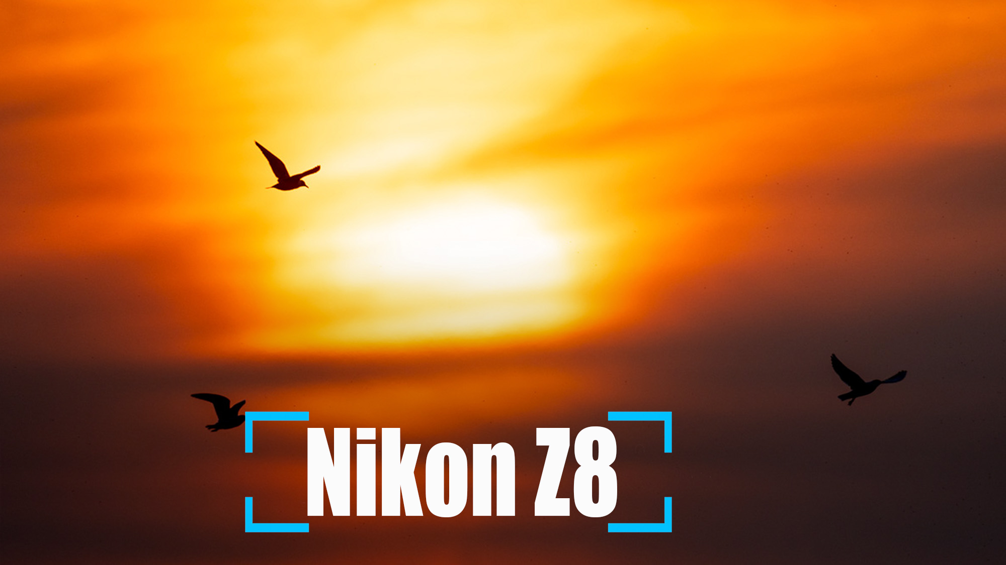 Testbericht Nikon Z8 Kamera